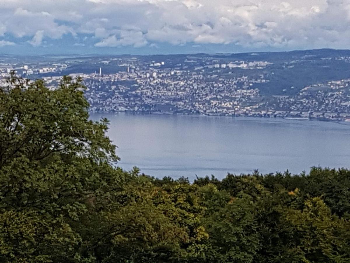 Superbe Appartement T2 3 Etoiles 40M2 Pied Des Pistes Vue Sur Le Lac Thollon-les-Memises Exteriör bild